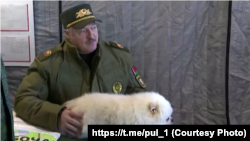Аляксандар Лукашэнка з сабакам Умкам