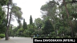 Сухумчане нередко жалуются на то, что городские улицы и скверы лысеют