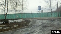 «Віцьба-3»
