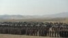 Nagorno-Karabakh - Karabakh Armenian troops, tanks and other military hardware lined up after ending a military exercise, 23Oct2012.