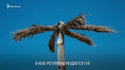 Шоу по-кримськи: військові літаки над пляжем у Прибережному