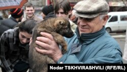 Далеко не каждый, взяв в дом бодрого, веселого щенка, готов взвалить потом на себя опеку над собакой-инвалидом. Нетрудно догадаться, что больные собаки часто оказываются в приюте