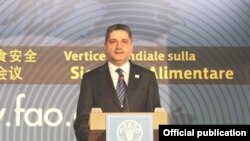 Armenia -- Prime Minister Tigran Sarkisian addresses the UN Food and Agriculture Organization (FAO) sumit in Rome on November 17, 2009.