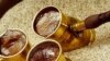 По словам Амирана Гагуа, никакой тайны приготовления кофе на песке нет. Просто надо знать: когда он закипает, его нужно своевременно убрать