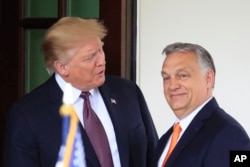Президент Дональд Трамп вітає прем'єр-міністра Угорщини Віктора Орбана у Білому домі у Вашингтоні, США, 13 травня 2019 року