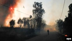 Лесные пожары в Португалии 