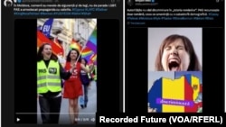 Exemple de conturi de social media ale campaniei Operation Undercut, colectate de Recorded Future