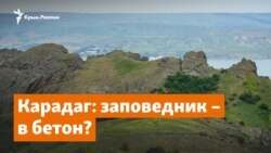 Заповедник – в бетон. Что происходит на Карадаге | Доброе утро, Крым